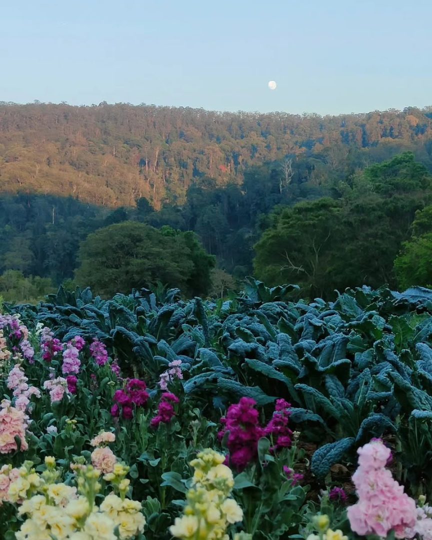 482260917_1001030062124694_1777096829973547839_n