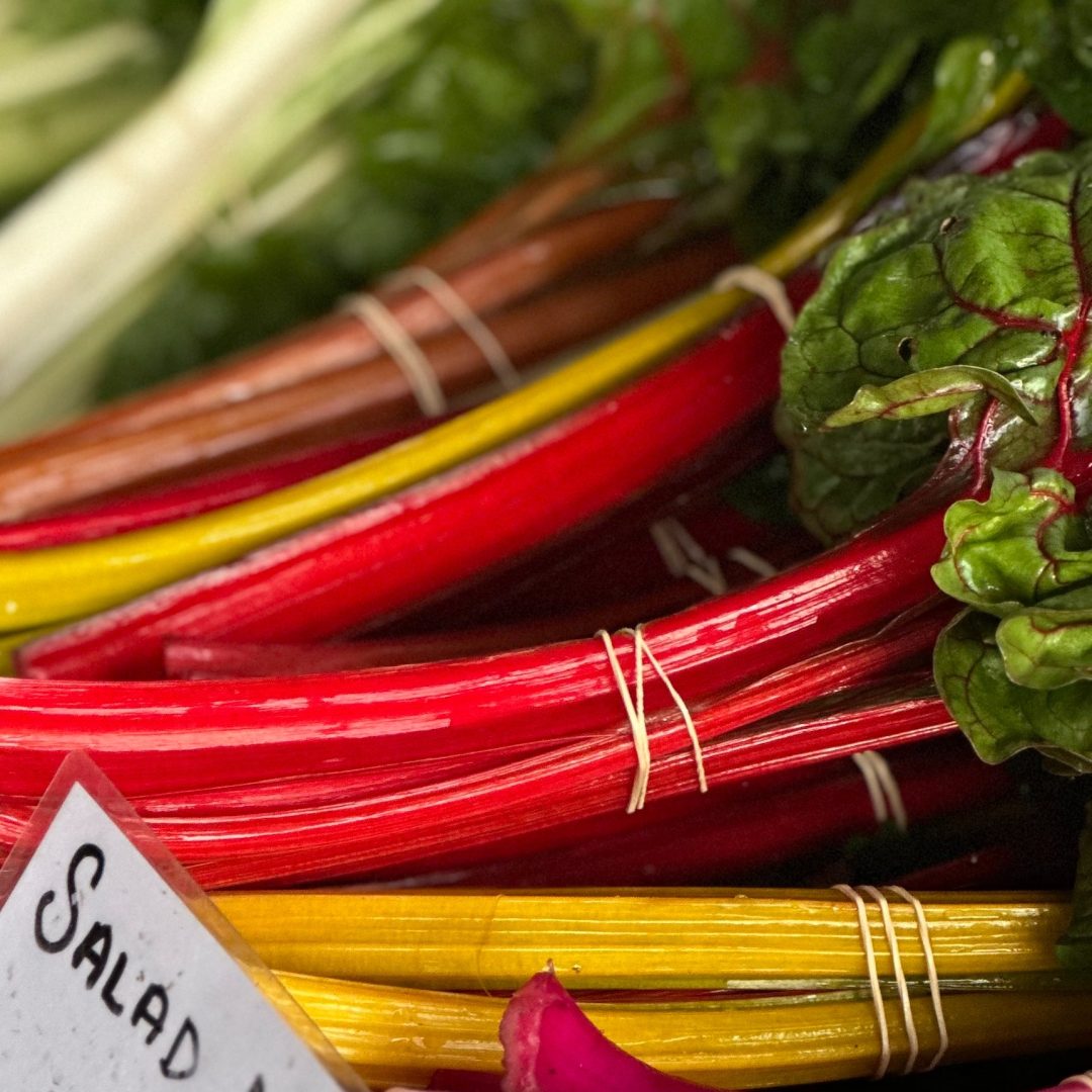 550892933_1360192822777149_8850002198441216969_n