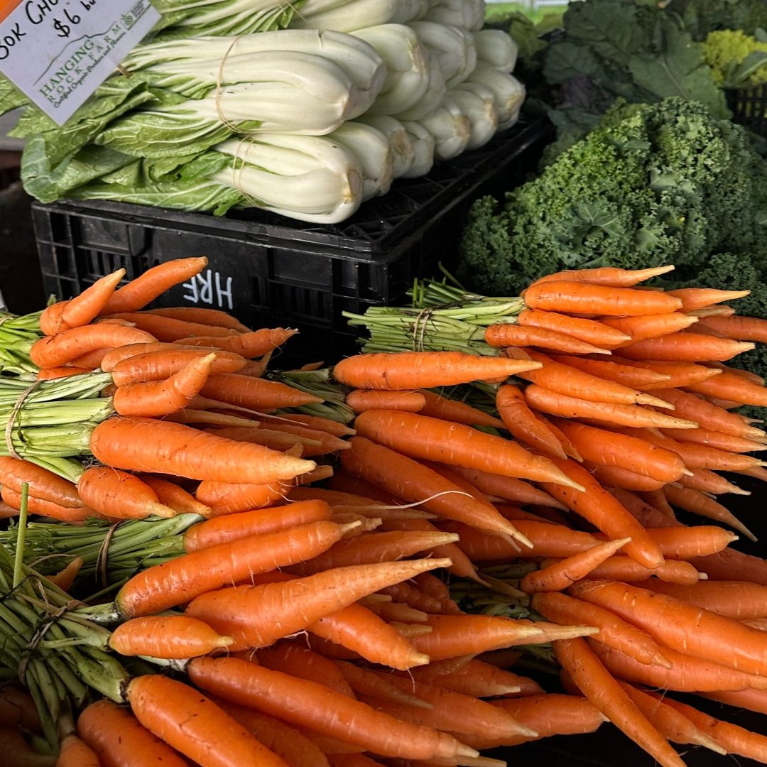 553229971_1360192899443808_8534648102301098292_n