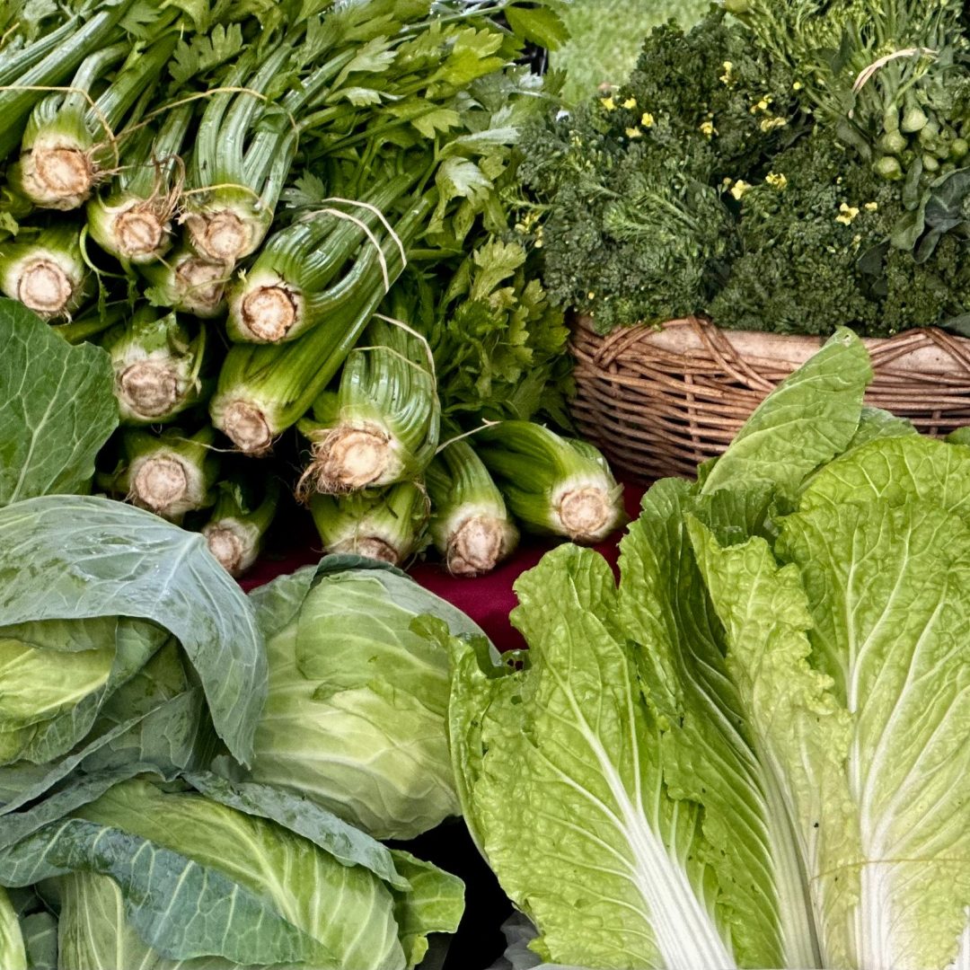 554737061_1360192802777151_2289584092804069500_n