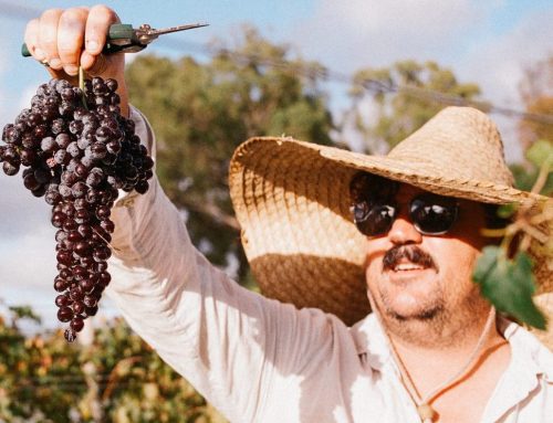Jilly Wines brings the taste of the Northern Rivers to Mullum Farmers Market